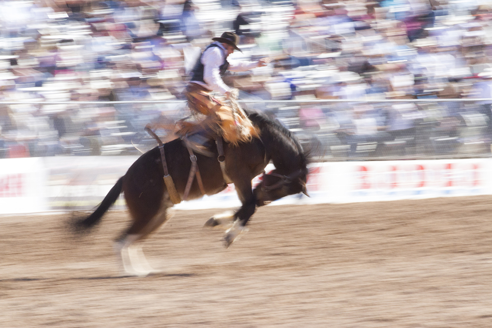 Tucson Rodeo 